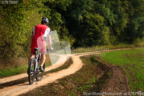 Image of Rider in action at Freestyle Mountain Bike Session