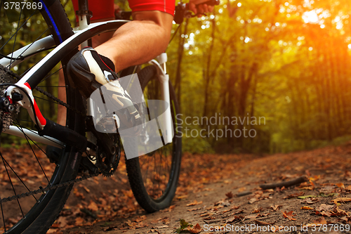 Image of Rider in action at Freestyle Mountain Bike Session