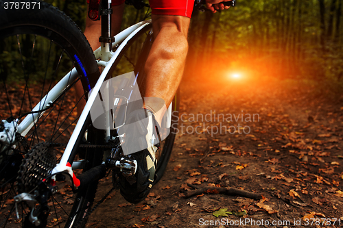 Image of cyclist man legs riding mountain bike