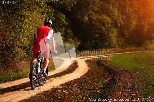 Image of Cyclist with His Bike on the Autumn Meadow