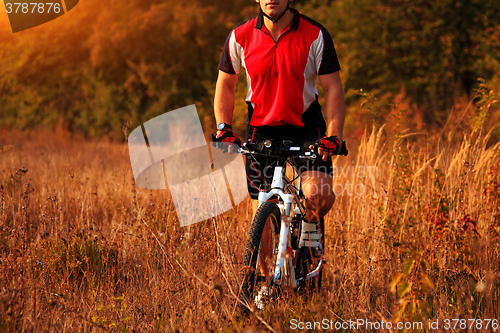 Image of Cyclist on the Meadow Trail at tne Evening