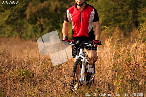 Image of Man Cyclist Riding on bicycle in the Summer Forest