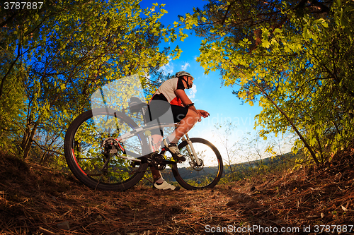 Image of Man Cyclist with bike on sunset