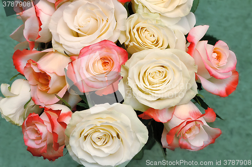 Image of A bouquet of roses on light green background.