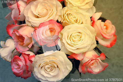 Image of A bouquet of roses on light green background.