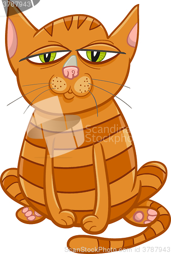 Image of cat pet cartoon character