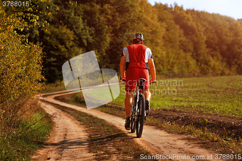 Image of Rider on Mountain Bicycle it the forest