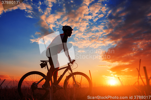 Image of Rider in action at Freestyle Mountain Bike Session