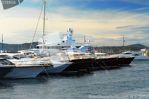 Image of Boats at St.Tropez