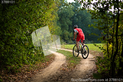 Image of Cyclist riding mountain bike on trail at evening.