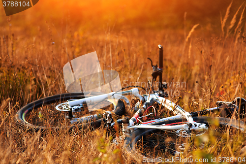 Image of bicycle at sunny evening on countryside