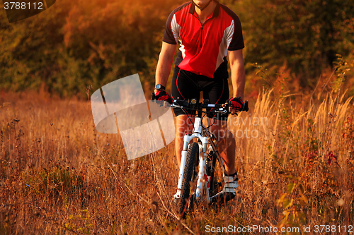 Image of Man Cyclist Riding on bicycle in the Summer Forest