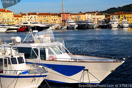 Image of Boats at St.Tropez