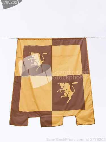 Image of Turin flag vintage