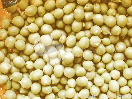 Image of Retro looking Green peas