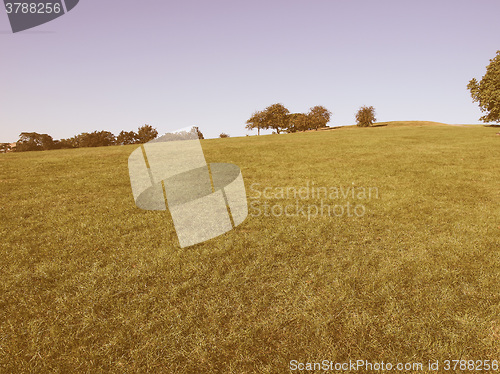 Image of Primrose Hill London vintage