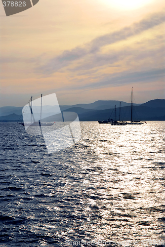 Image of Anchored sailboats