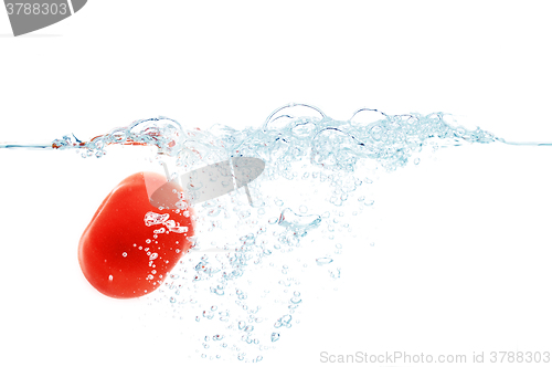 Image of tomato falling or dipping in water with splash