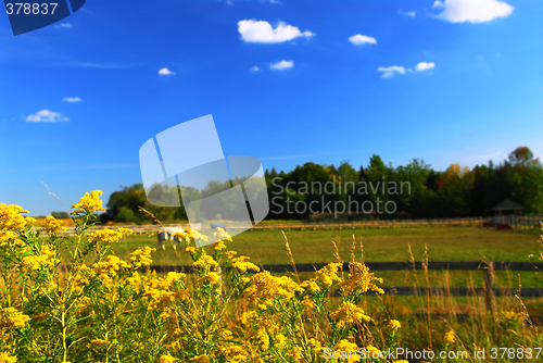 Image of Rural landscape