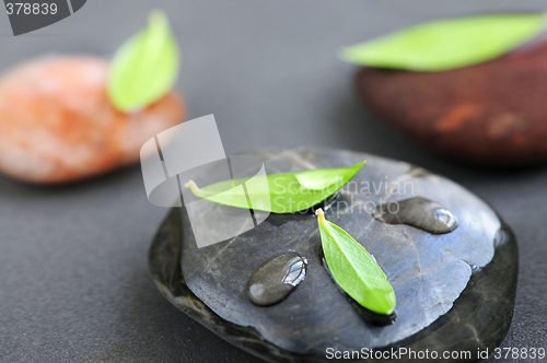 Image of Stones in water