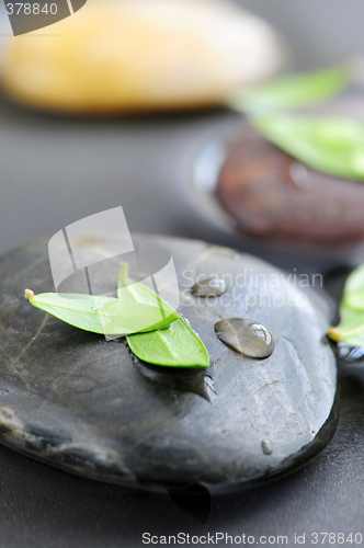 Image of Stones in water