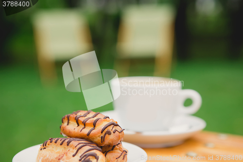 Image of Morning coffee. Cup coffee in park