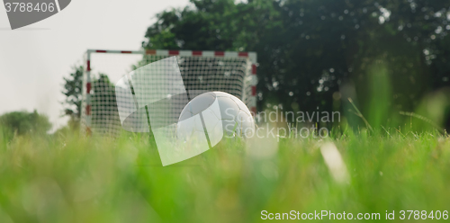 Image of Soccer ball on the green field