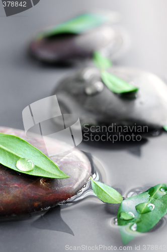 Image of Stones in water