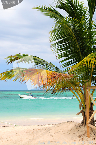 Image of Tropical beach