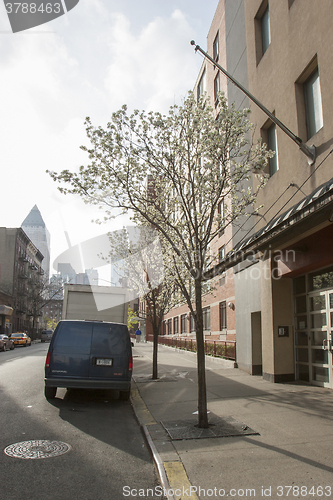 Image of Car parked in street of Manhattan