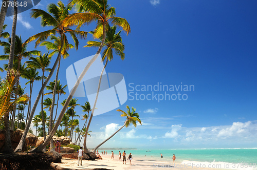 Image of Tropical beach