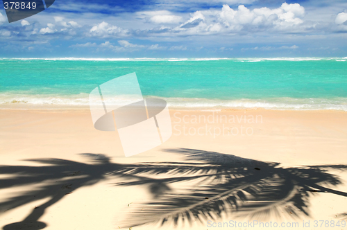 Image of Tropical beach