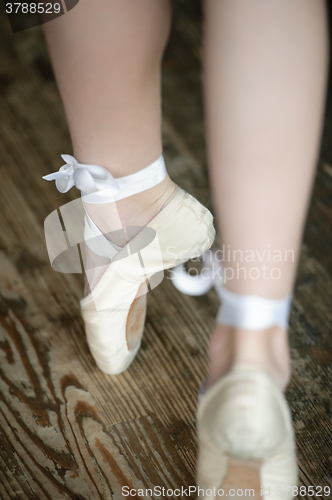 Image of Ballerina legs on tiptoe