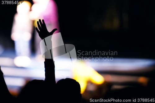 Image of Supporter in the audience raising a hand