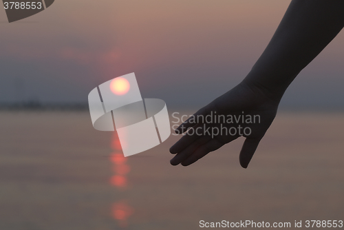 Image of Womans hand silhouetted against a sunset