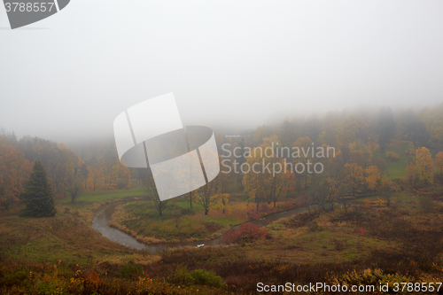 Image of The fog is coming on forest.