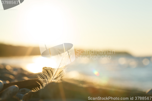 Image of Nature scene at sunset