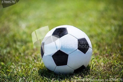 Image of Traditional soccer ball on the lawn