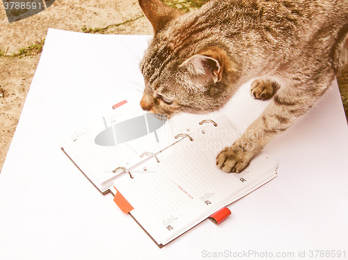 Image of Retro looking Cat reading notekeeper