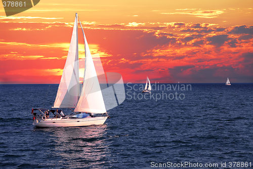 Image of Sailboats at sunset