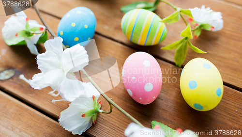 Image of close up of colored easter eggs and flowers