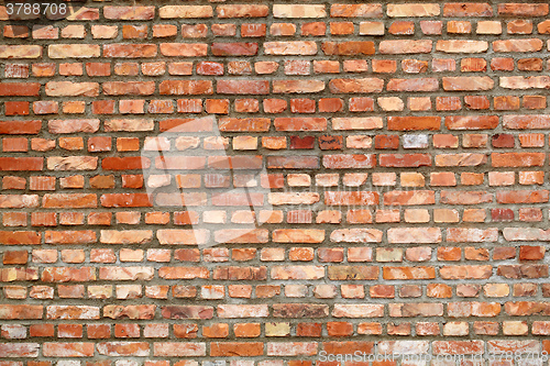 Image of Brick background.