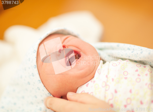 Image of Newborn cries