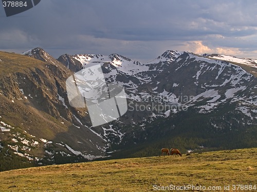 Image of Alpine Pastoral
