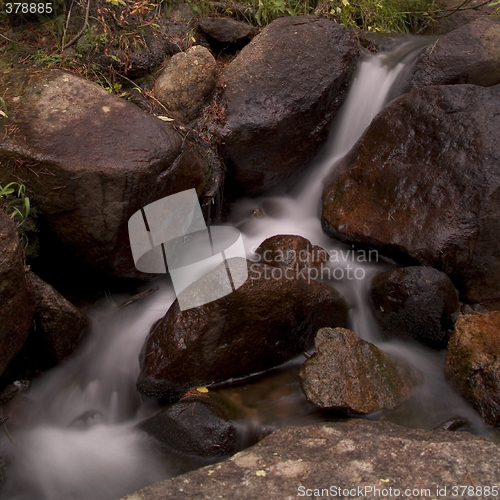 Image of Andrew's Brook