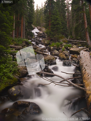 Image of Calypso Cascades