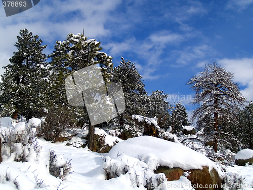 Image of Crisp Winter Air