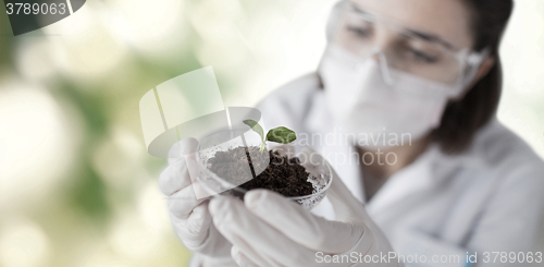 Image of close up of scientist with plant and soil