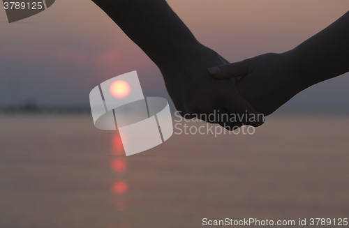 Image of Couple holding hands at sunset