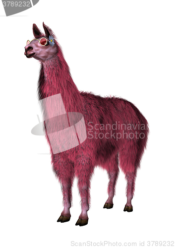 Image of Pink Lama on White